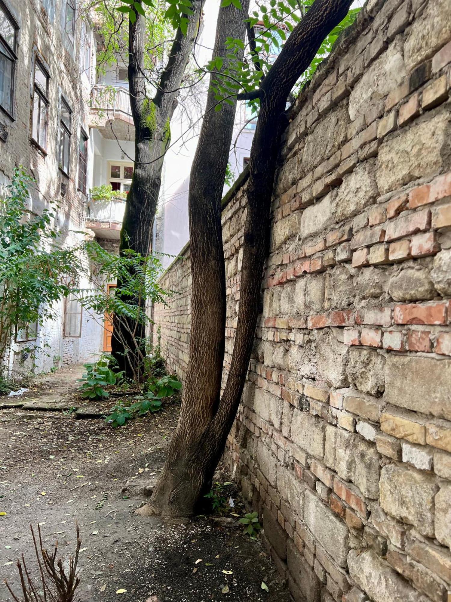 Ferienwohnung Gozsdu Court Bismarck Budapest Exterior foto